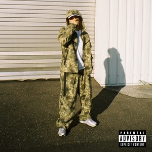 Fisher flow (Explicit)