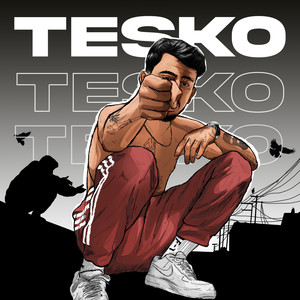 Teşko