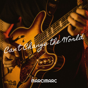 Can't Change the World