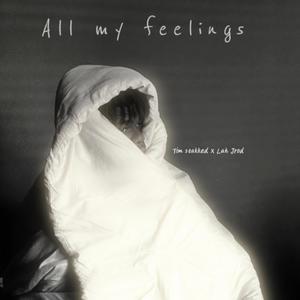 All my feelings (feat. Lah Jrod) [Explicit]