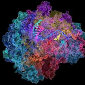 ON MY GRIND(FA REAL FA REAL) (Explicit)