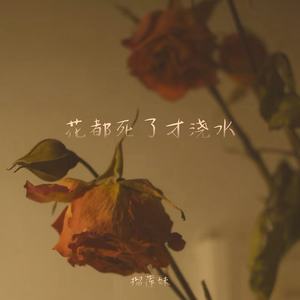 花都死了才浇水