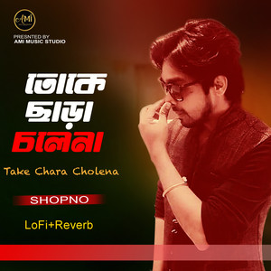 Toke Chara Cholena (Lofi, Reaverb)