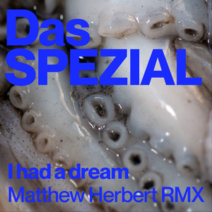 What Does it All Mean (Matthew Herbert Remix)