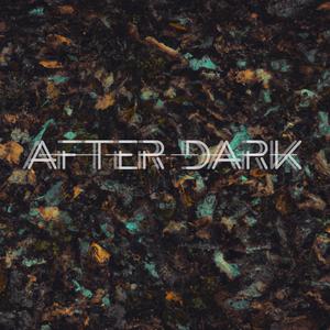 After Dark (feat. Robin Desmet & Tokalah) (Explicit)
