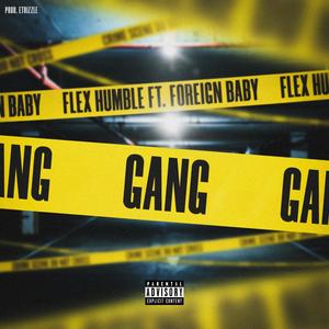 Gang (feat. Foreign Baby) [Explicit]