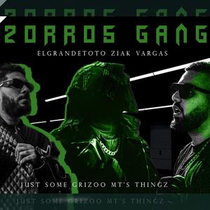 Zorros Gang (feat. Vargas) [Explicit]