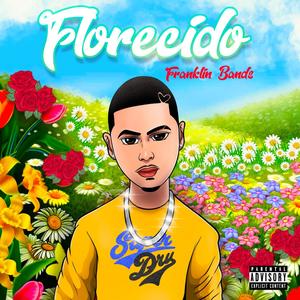 Serenata (feat. Anfary NYC & El Ingeniero Lirical) (Explicit)