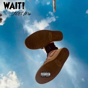 Wait (Explicit)