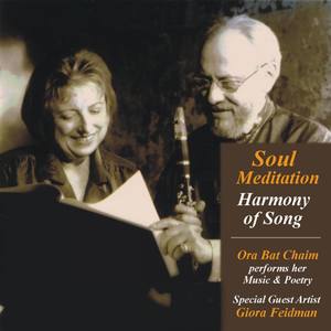 Soul Meditation - Harmony of Song