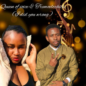 I did you wrong (Happy Moments Remix)