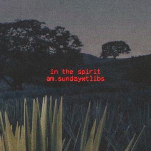 In the Spirit (feat. tlibs)