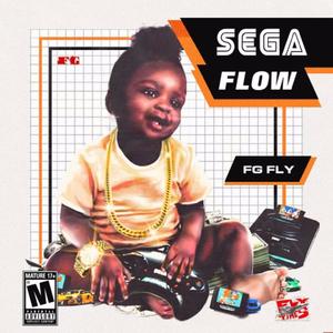 Sega Flow (Explicit)