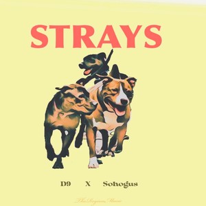 Strays