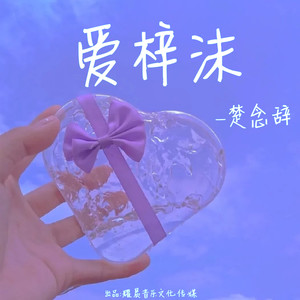 想你的夜-楚念辞