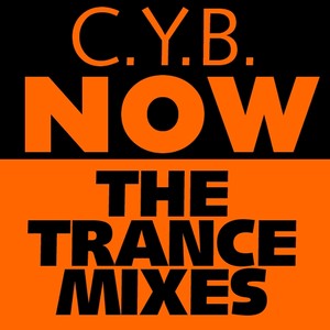 Now - The Trance Mixes