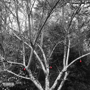 Knew Tape, Vol. 1: Genesis (Explicit)