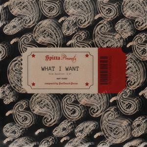 WHAT I WANT (feat. Jay Vasquez) (Explicit)