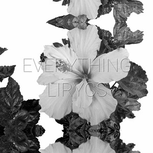 Everything Lirycs (Explicit)