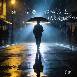 烟一根酒一杯心成灰 (我是真的爱上你)封面