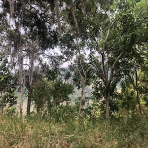 range (feat. hav7c) (Explicit)