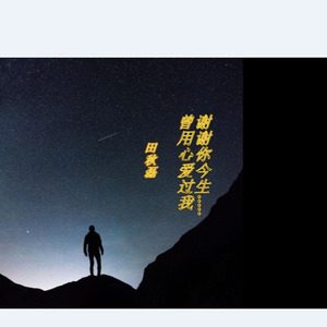 谢谢你此生曾用心爱过我