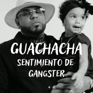 Sentimiento De Gangster