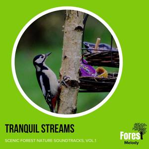 Tranquil Streams - Scenic Forest Nature Soundtracks, Vol.1