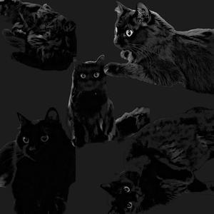 Dans ses yeux (exclu) (Explicit)