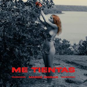 Me Tientas(feat. Orzusv)