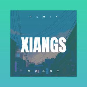 相思风雨中 (Remix)