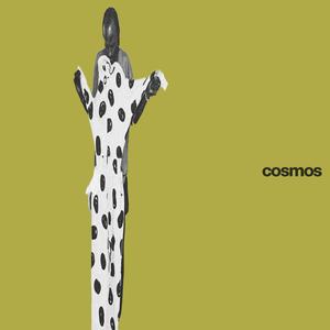 cosmos