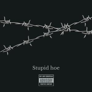 Stupid hoe (feat. Nep) [Explicit]