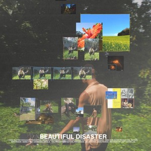 BEAUTIFUL DISASTER (Explicit)