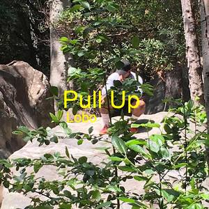 Pull Up (Explicit)