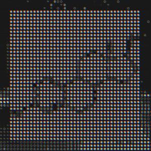 Alexa, Arrange My Funeral (Explicit)