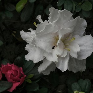 我 在 杀 死 你 的 路 上