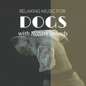 Relaxing Music for Dogs with Nature Sounds - Songs to Keep Dogs Calm, Happy and Comfortable