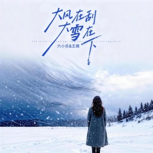 六小乐 - 大风在刮大雪在下 (DJ默涵版)