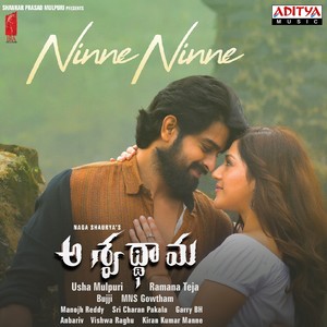 Ninne Ninne (From "Aswathama")