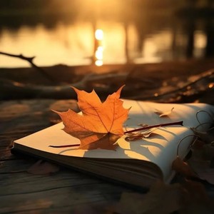 程白白 - 爆了 (氛围DJ版)