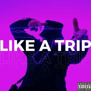 Like a Trip (Explicit)