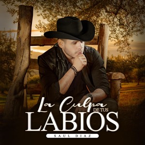 La Culpa de Tus Labios