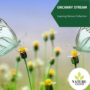 Uncanny Stream - Inspiring Nature Collection