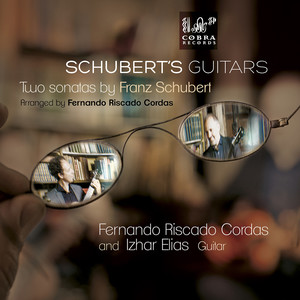 Schuberts Guitars