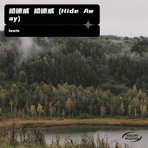 哈德威 哈德威 (Hide Away) - 江南雪封面