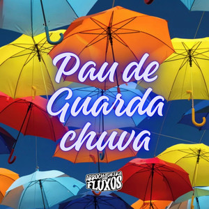 Pau De Guarda Chuva
