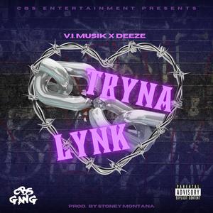 Tryna Lynk (feat. Deeze) (Explicit)
