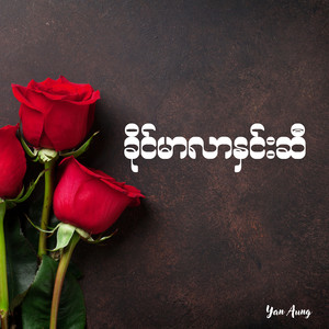 ခိုင်မာလာနှင်းဆီ