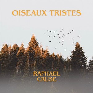 Oiseaux Tristes